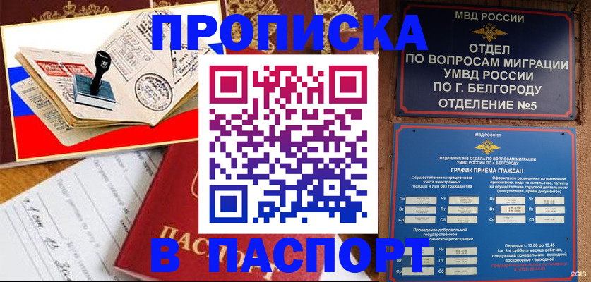 временная регистрация для всех в Дмитрове